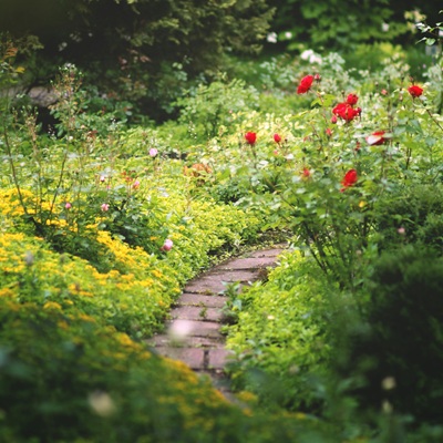 Rosenweg – Symbol für die Seelenwanderung durch die AKASHA-Chronik Rosenweg in einem stillen Garten – Symbol für die sanfte Seelenwanderung in der AKASHA-Chronik