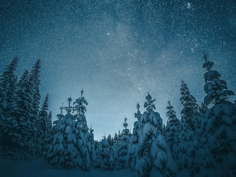 Magischer Winterwald bei Nacht Sternenklarer Himmel über verschneitem Winterwald - mystische Stimmung der Rauhnächte